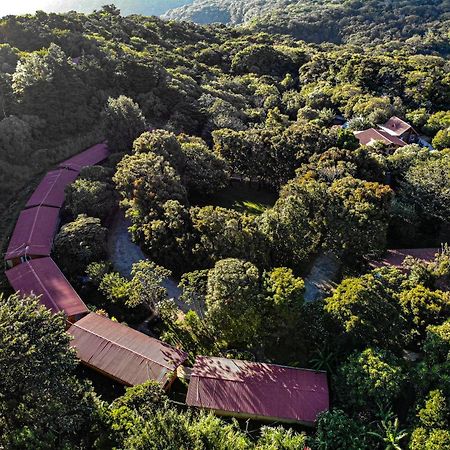 Вилла El Bosque Lodging Монте-Верде Экстерьер фото